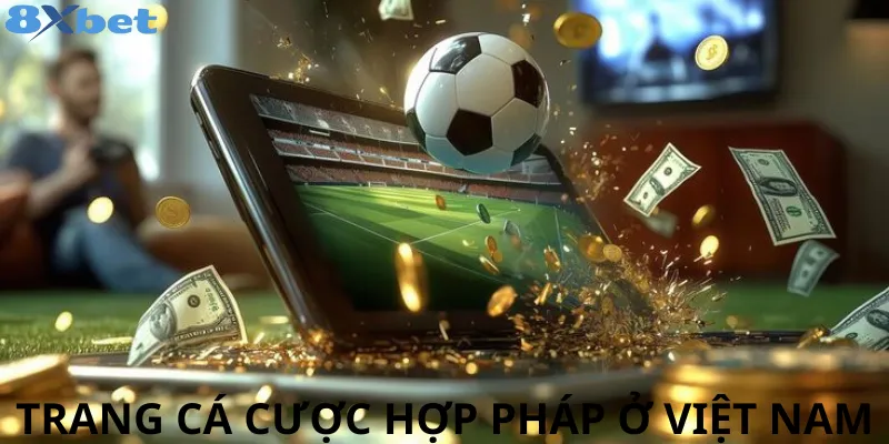 Top nhà cái uy tín tại Việt Nam - 8xbet