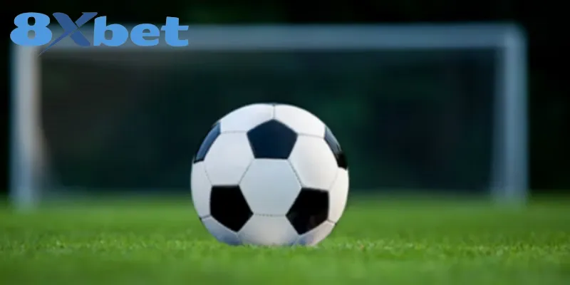 Hướng Dẫn Chơi Kèo Tài Xỉu Tại 8XBET Và Bí Kíp Thắng Lớn Lỗi phổ biến hội viên cần tránh khi chơi kèo Tài Xỉu